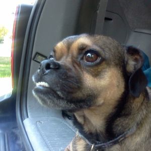 Meet your Posher, Jane